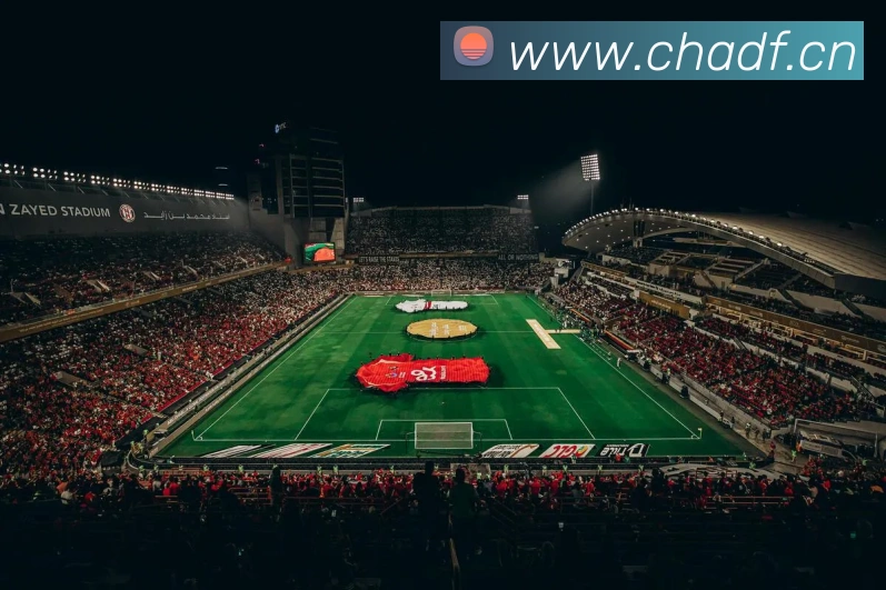 奇异果网页版平台生态图